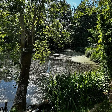 L'ile Du Saussay