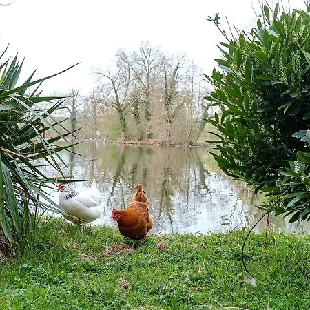 L'ile Du Saussay Hotel Itteville